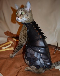 cat battle armour